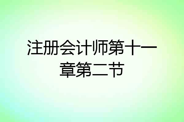 注册会计师第十一章第二节