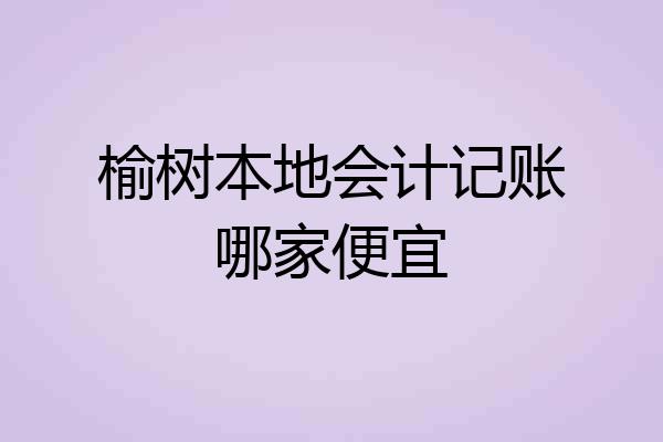 榆树本地会计记账哪家便宜