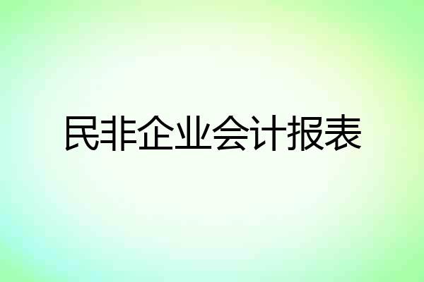 民非企业会计报表