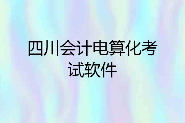 四川会计电算化考试软件