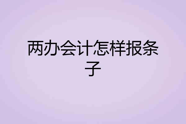 两办会计怎样报条子