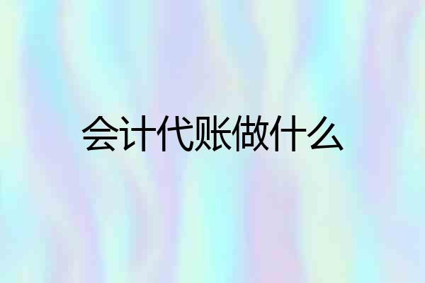 会计代账做什么