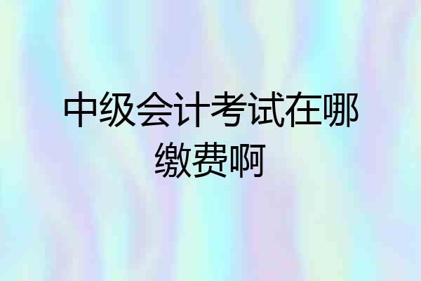 中级会计考试在哪缴费啊