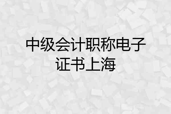 中级会计职称电子证书上海