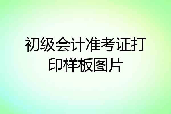 初级会计准考证打印样板图片