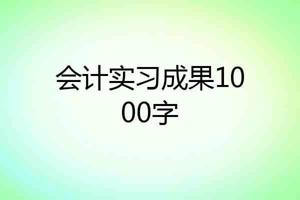 会计实习成果1000字