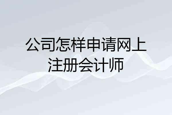 公司怎样申请网上注册会计师