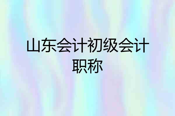 山东会计初级会计职称