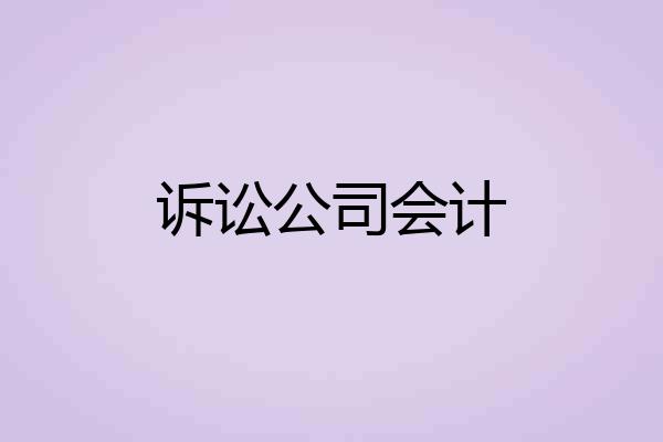 诉讼公司会计