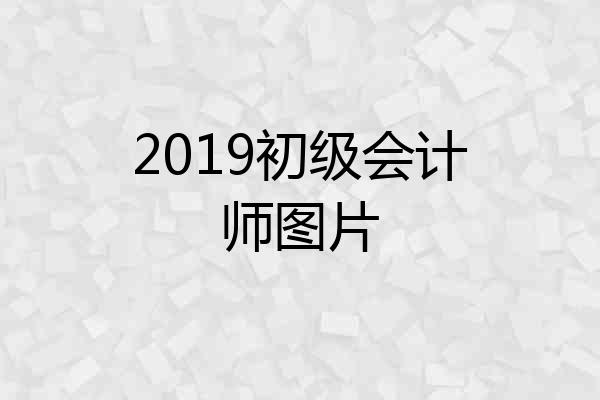 2019初级会计师图片