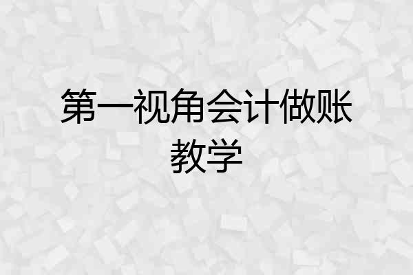 第一视角会计做账教学