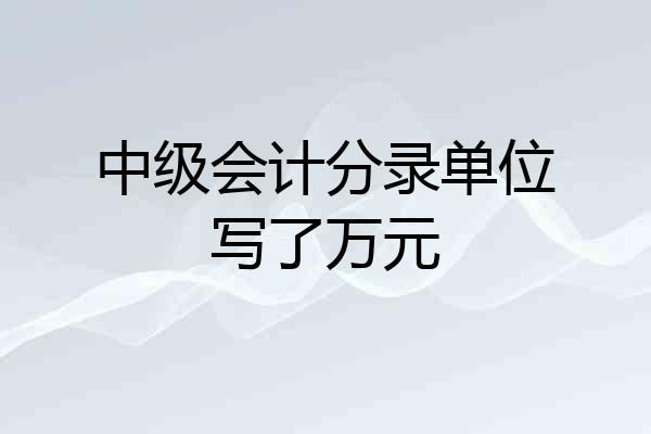 中级会计分录单位写了万元