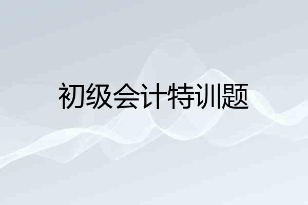 初级会计特训题
