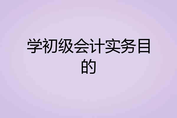 学初级会计实务目的