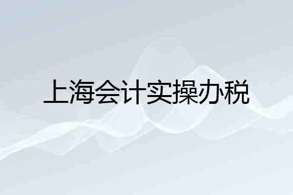 上海会计实操办税