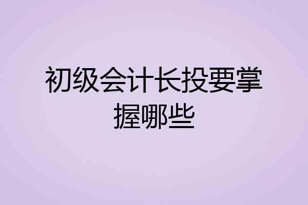 初级会计长投要掌握哪些