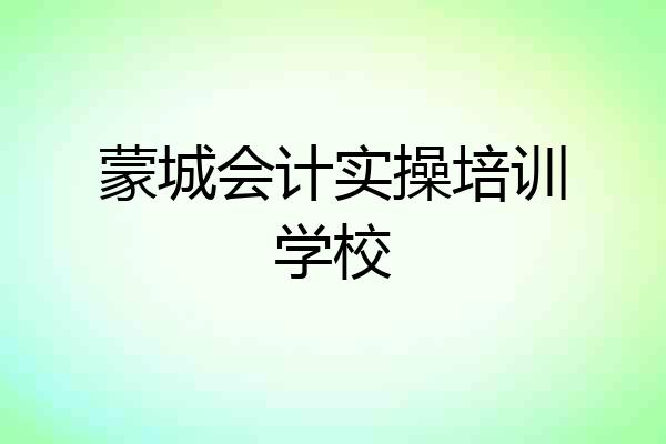 蒙城会计实操培训学校