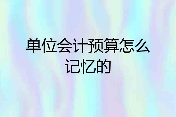 单位会计预算怎么记忆的