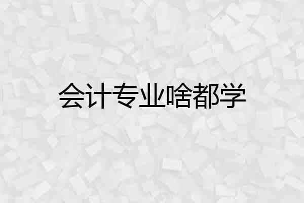 会计专业啥都学