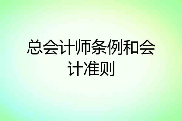 总会计师条例和会计准则