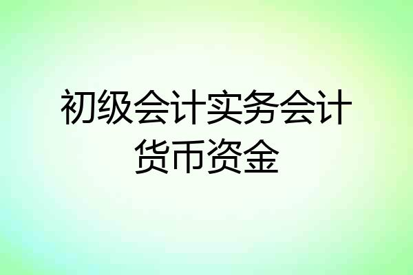 初级会计实务会计货币资金
