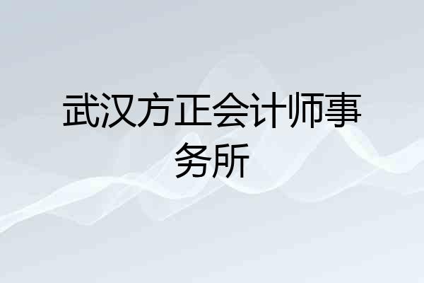 武汉方正会计师事务所