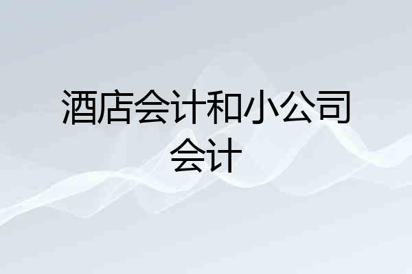 酒店会计和小公司会计