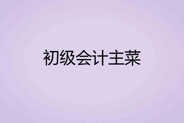 初级会计主菜