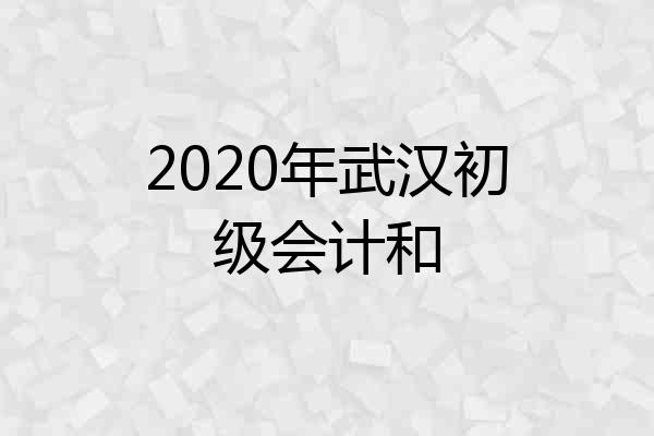 2020年武汉初级会计和
