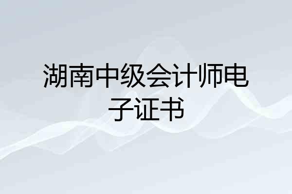 湖南中级会计师电子证书