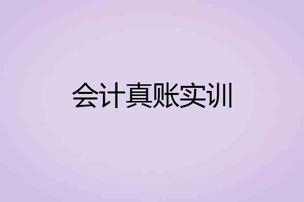 会计真账实训