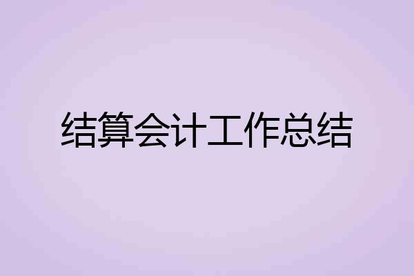 结算会计工作总结