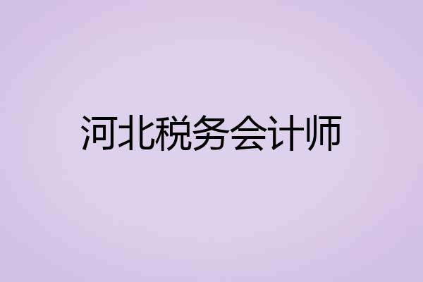 河北税务会计师