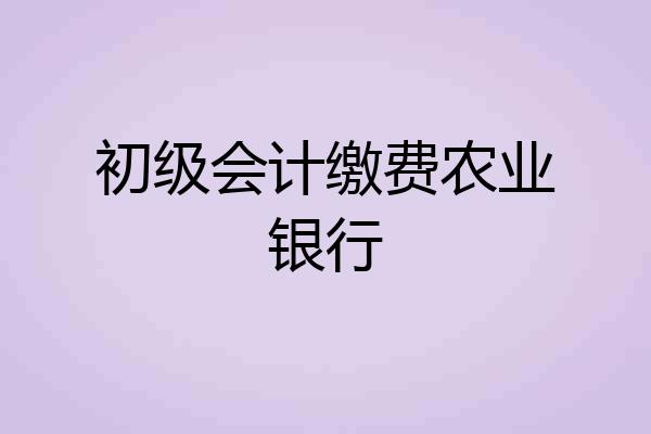 初级会计缴费农业银行