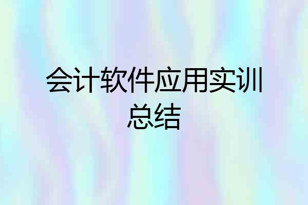 会计软件应用实训总结