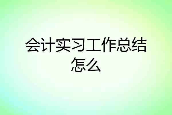 会计实习工作总结怎么