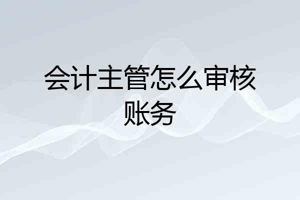 会计主管怎么审核账务