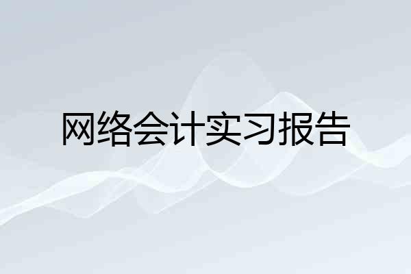 网络会计实习报告