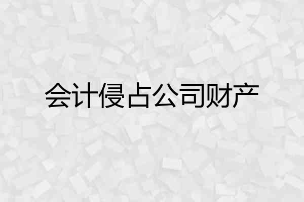 会计侵占公司财产