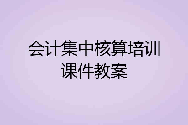 会计集中核算培训课件教案