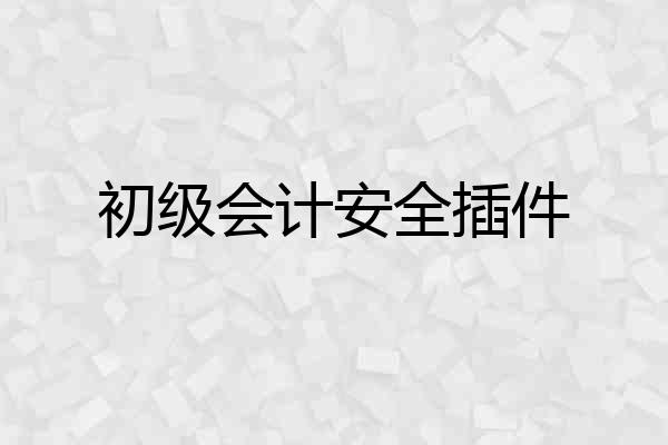 初级会计安全插件