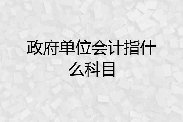 政府单位会计指什么科目