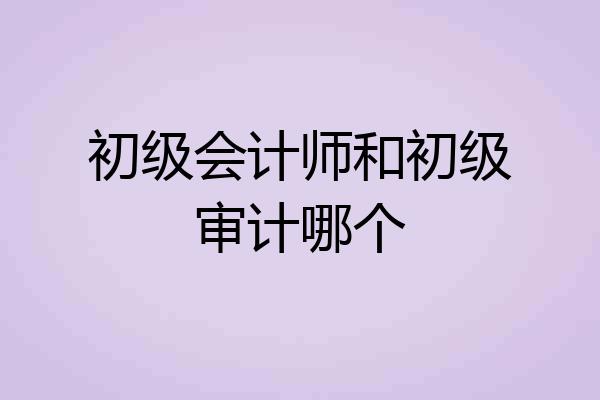 初级会计师和初级审计哪个