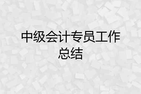 中级会计专员工作总结