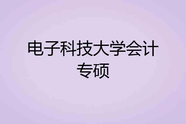 电子科技大学会计专硕