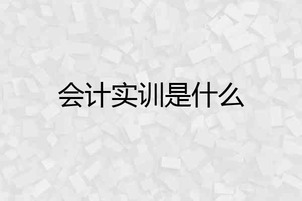 会计实训是什么