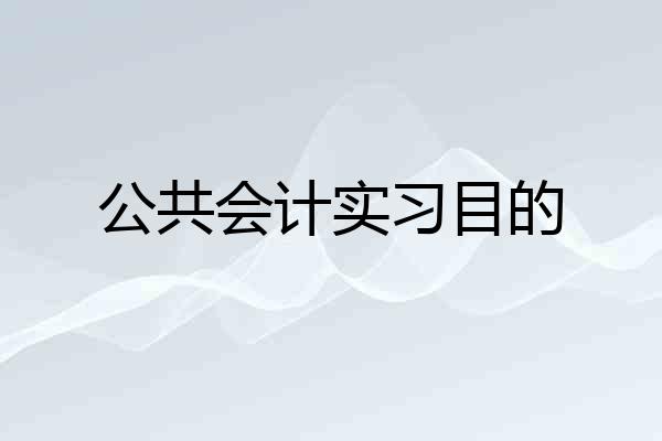 公共会计实习目的