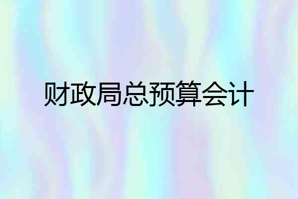 财政局总预算会计
