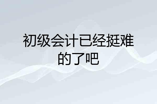 初级会计已经挺难的了吧