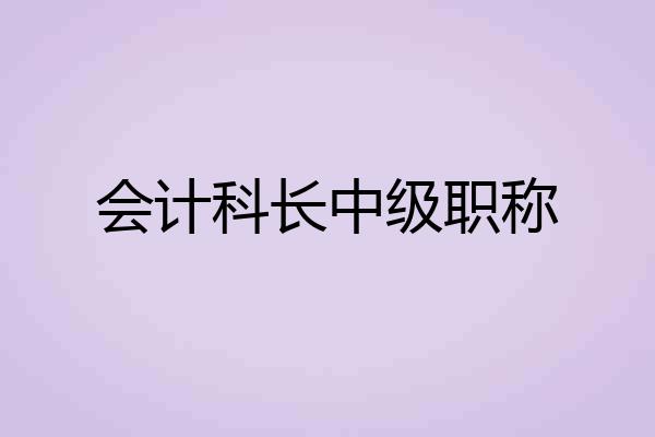 会计科长中级职称